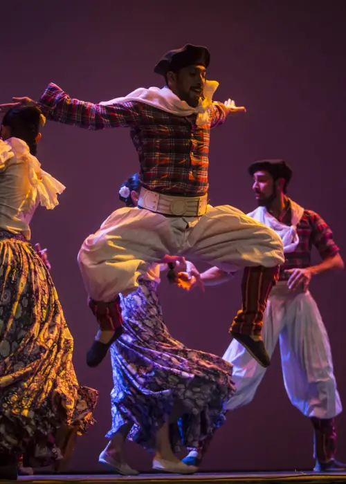 Ballet folclórico de la provincia