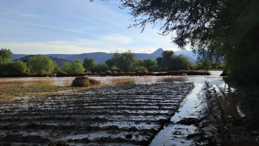 Plantaciones anegadas en el Paraje San Rafael.