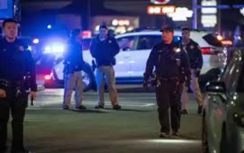 Tiroteo masivo en fiesta de cumpleaños de California.