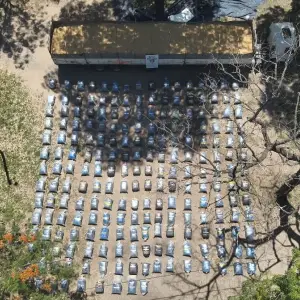 Conductor camufló más de cuatro toneladas de hojas de coca entre un cargamento de expeller de soja en Salta