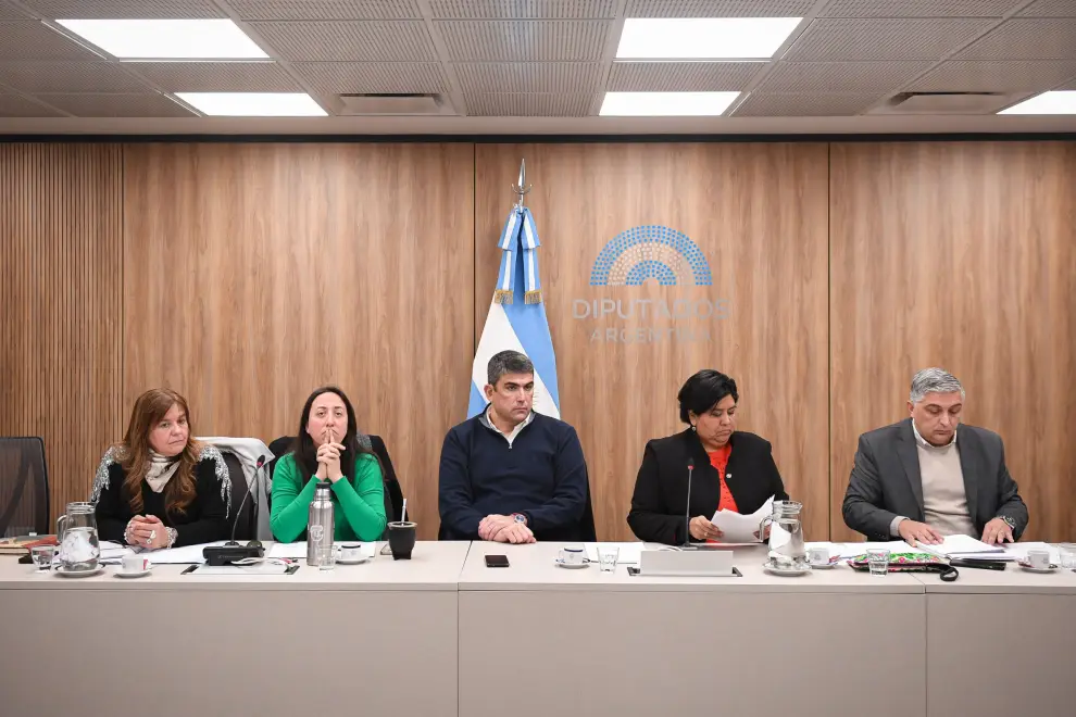 Bicameral para la elección del Defensor del Niño en la Argentina