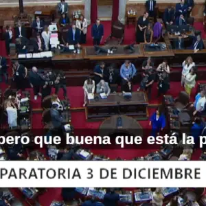 Video bochornoso: "Che, pero qué buena que está la peruca", a micrófono abierto en plena jura de diputados
