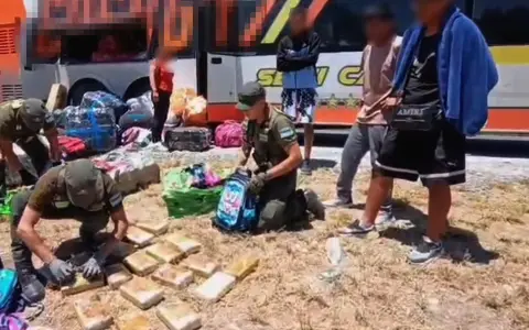 Mochilas infantiles cargadas con droga.