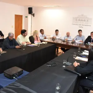 VIDEO: Seguridad en Salta, senadores analizan nuevos proyectos