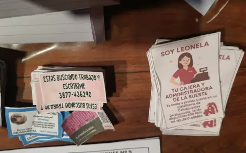 Los folletos que la imputada utilizaba para captar clientes