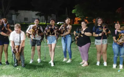 Los perritos que participaron del primer encuentro en Mosconi
