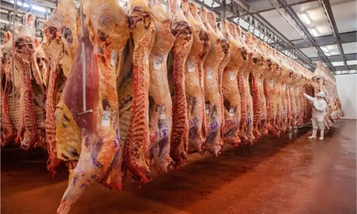 Contrabando millonario de carne.