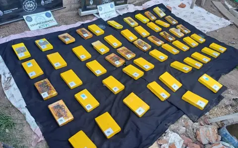 Los "ladrillos" de droga secuestrados.
