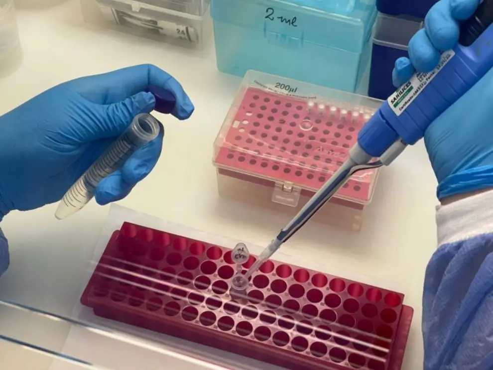 Servicio de Biología Molecular del CIF
