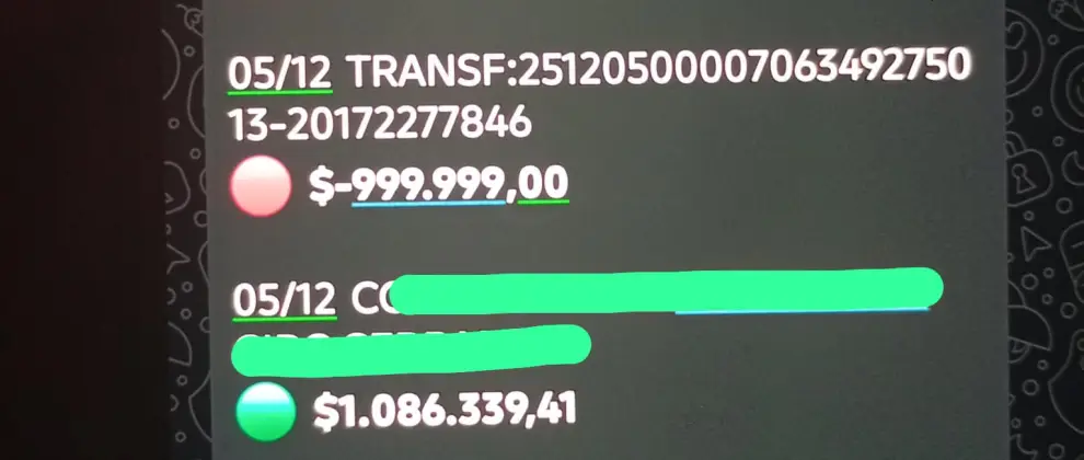 La extracción realizada el 5/12 que sufrió Daniela de su cuenta