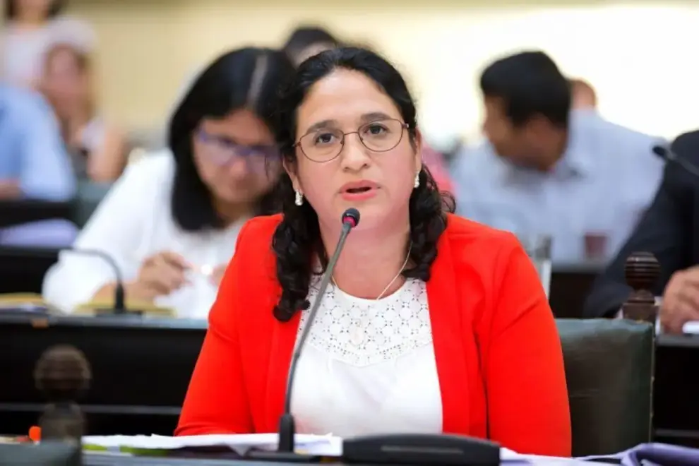 Patricia "Pato" Hucena, presidente de la comisión de presupuesto y hacienda de diputados hasta hace poco.