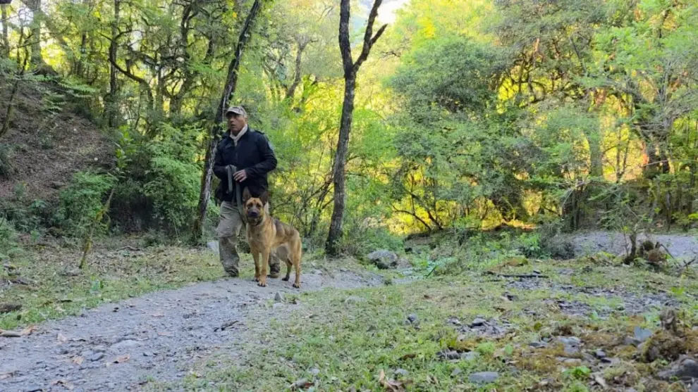 Perro de la policía de Salta