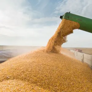 El Gobierno anunció una nueva baja en las retenciones para el Campo