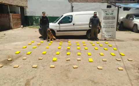 El vehículo donde transportaban la droga.