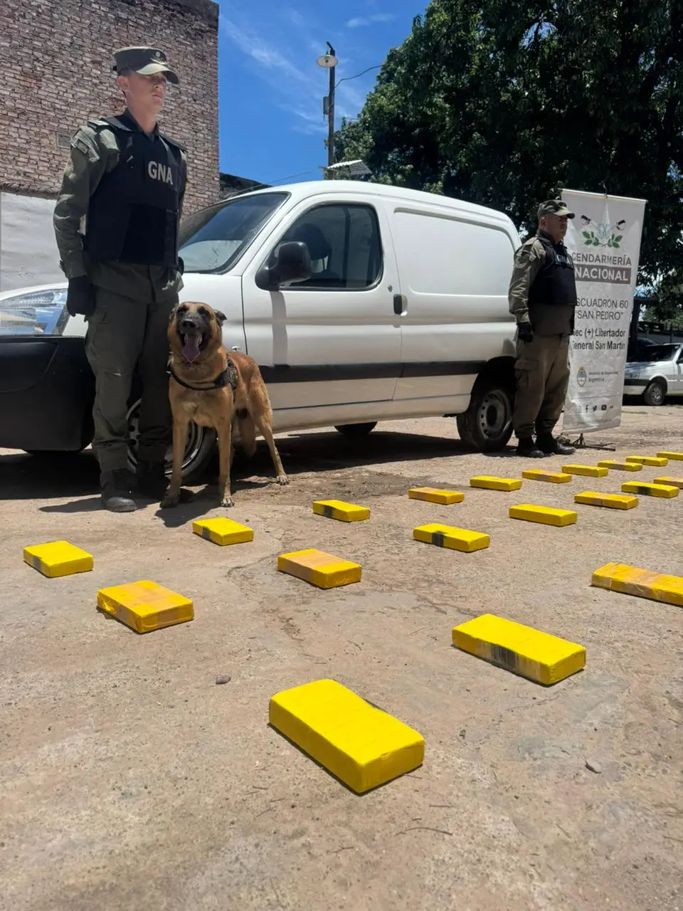 Los paquetes secuestrados.