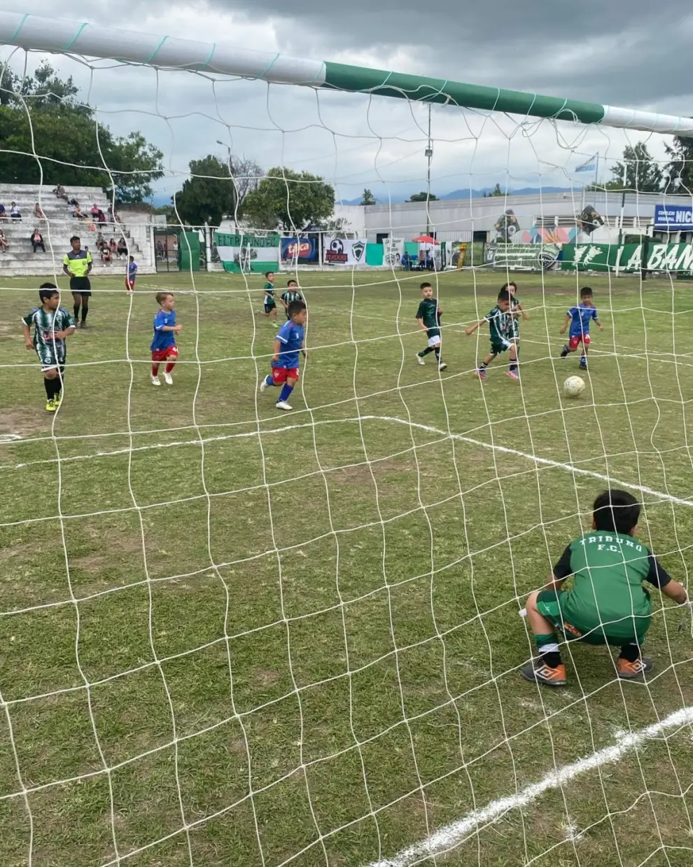 Los infantiles son los únicos que quedarían en actividad si se confirma la licencia deportiva.