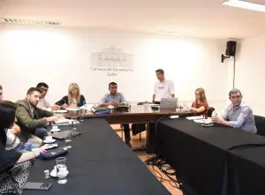 Senadores de Salta