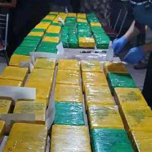La ruta blanca: una investigación revela cómo Salta volvió a ser un punto clave del narcotráfico transnacional