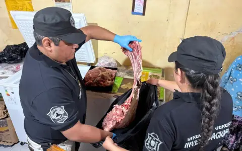 Incautan carne en el operativo contra el abigeato.