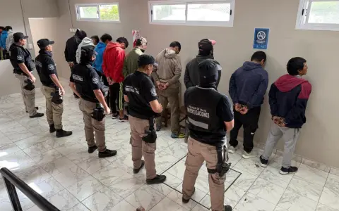Operativo contra el abigeato.