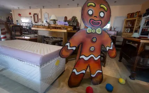 Exposición especial por Navidad y Año Nuevo del Servicio Penitenciario de Villa Las Rosas.