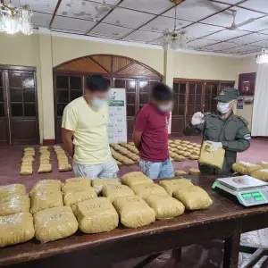 Gendarmería Nacional decomisa más de 200 kilos de marihuana en Salta