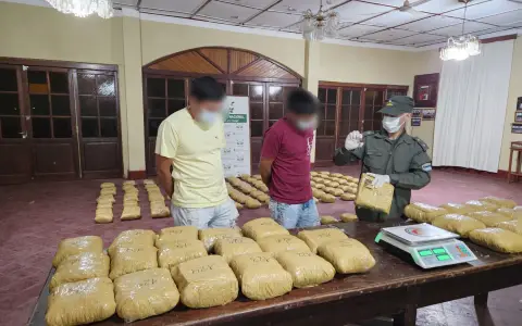 Secuestraron más de 200 kilos de marihuana en Urundel.