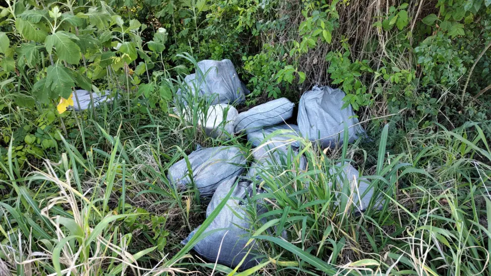 Secuestraron más de 200 kilos de marihuana en Urundel.