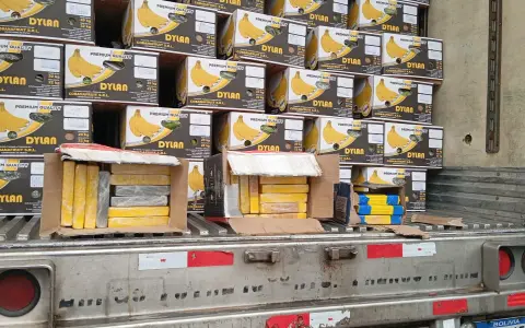 Narcobananas en Salvador Mazza.
