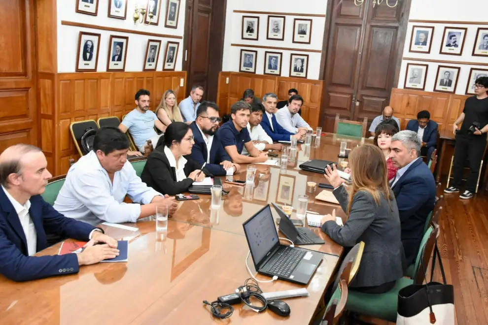 Flavia Royón con legisladores por Ley de Glaciares