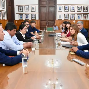 Cuál es la postura de Salta en el Congreso frente al debate por la Ley de Glaciares que llega a Diputados