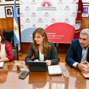 Salta no tiene ningún proyecto minero en conflicto con glaciares, pero avanza una reforma a la ley que los regula