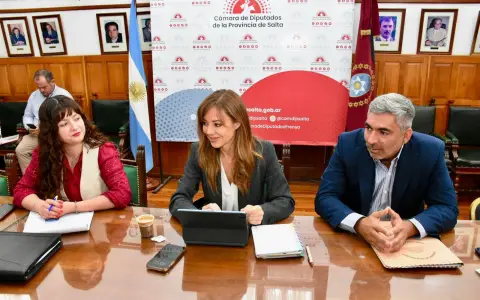 Flavia Royón con legisladores por Ley de Glaciares