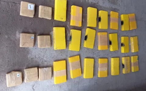 Ladrillos con cocaína secuestrados.