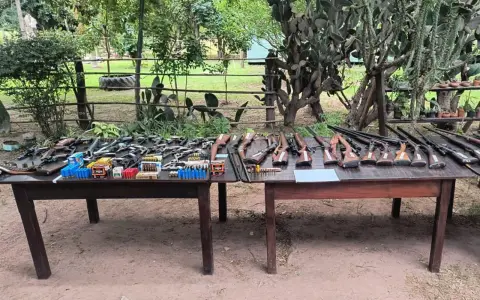 Arsenal de armas de fuego.