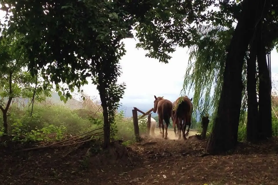 Una de las postales de Sayta Ranch.
