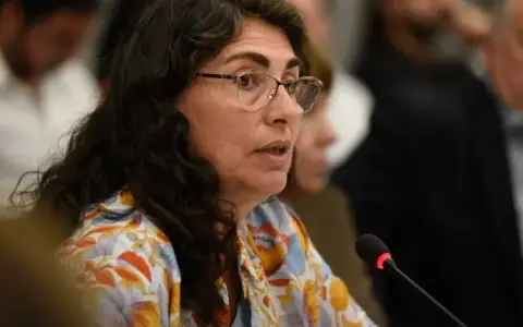 Diputada Ianni - Energías renovables