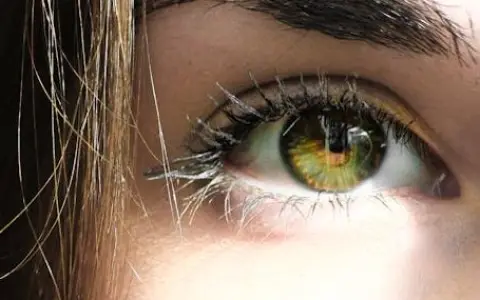 Ojos en alerta