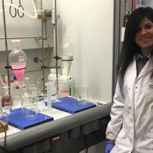 EL CONICET trabaja en el desarrollo de bolsas biodegradables con almidón de mandioca