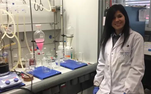 Un equipo del CONICET y una empresa de Misiones desarrollan bolsas biodegradables a partir de almidón de mandioca