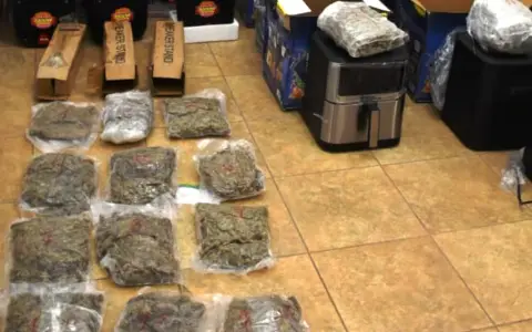 Secuestro de marihuana que salió desde Salta.
