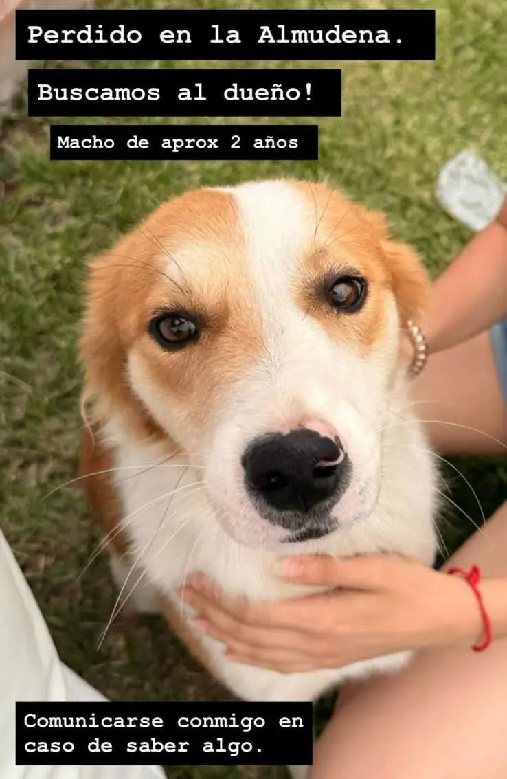 Comunicarse al Facebook de Laura Muro