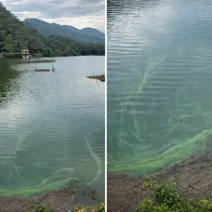 El Agua en Tartagal: "El Limón tiene el peor registro de cianobacterias de los últimos 10 años"