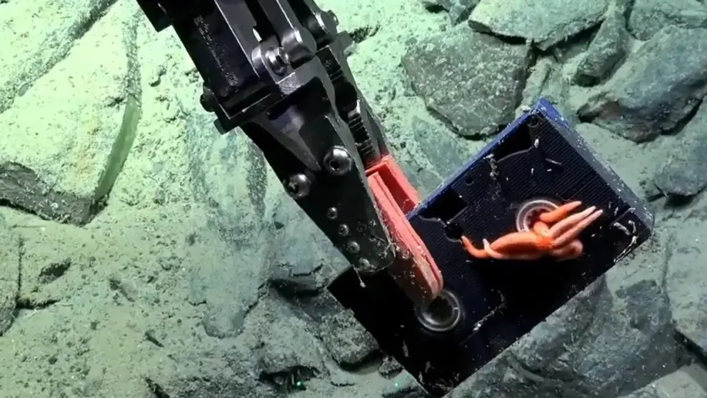 Un VHS en el fondo del Mar Argentino