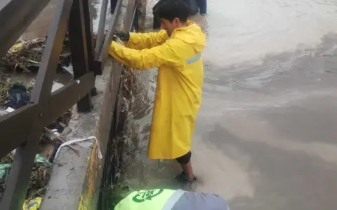 Tareas de limpieza después de la tormenta.