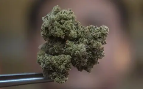 Marihuana