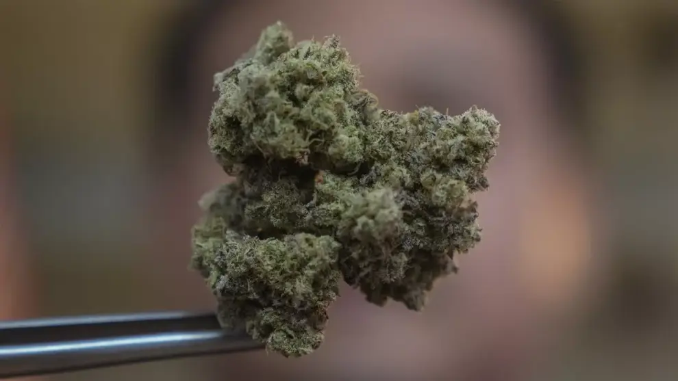 Marihuana