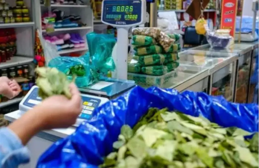 Bolivia combustibles