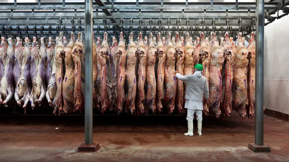 Trabajador en frigorífico de carne vacuna.