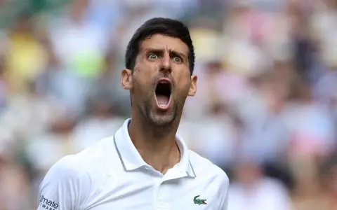 Novak Djokovic conmocionó al mundo del tenis.